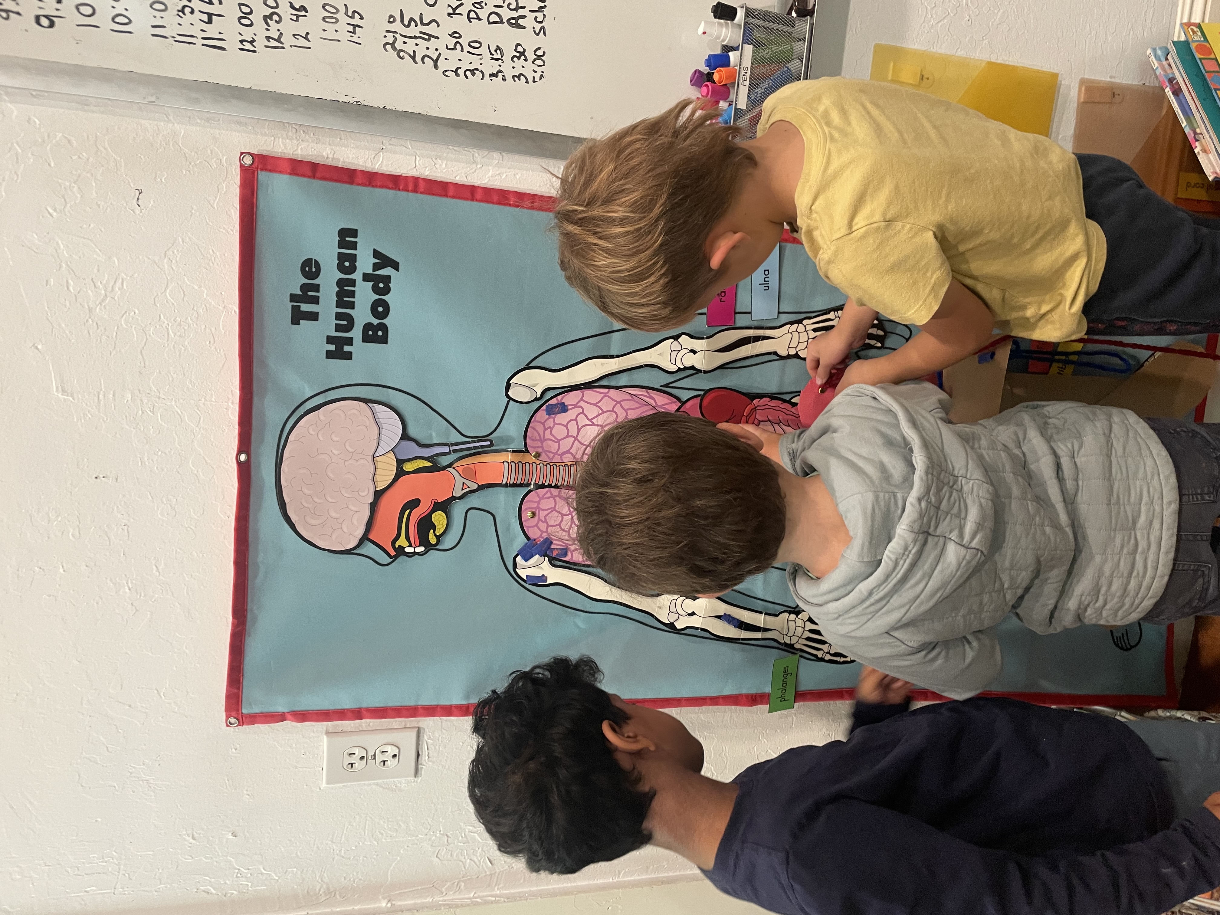 Aquila boys human body inquiry