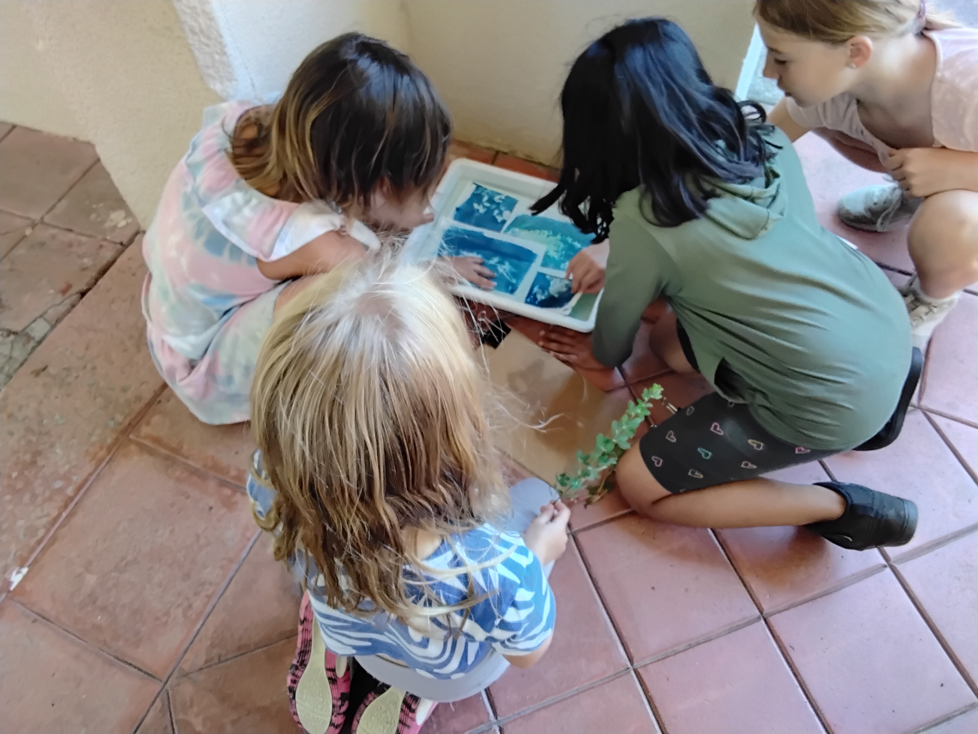 Pegs photo inquiry